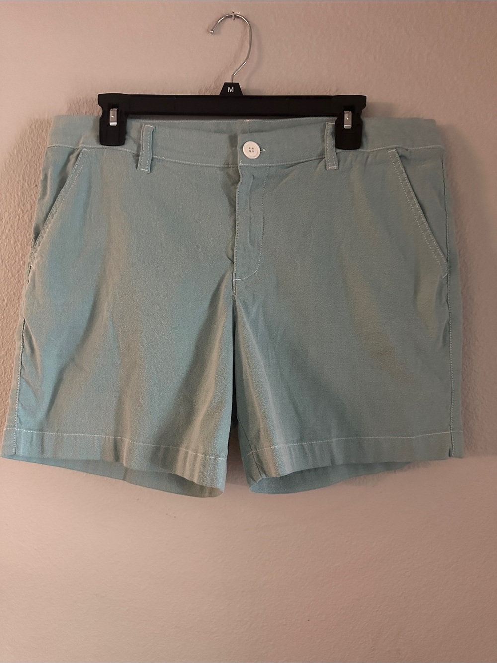 chubbies Light Aqua Men’s Flat Front Shorts